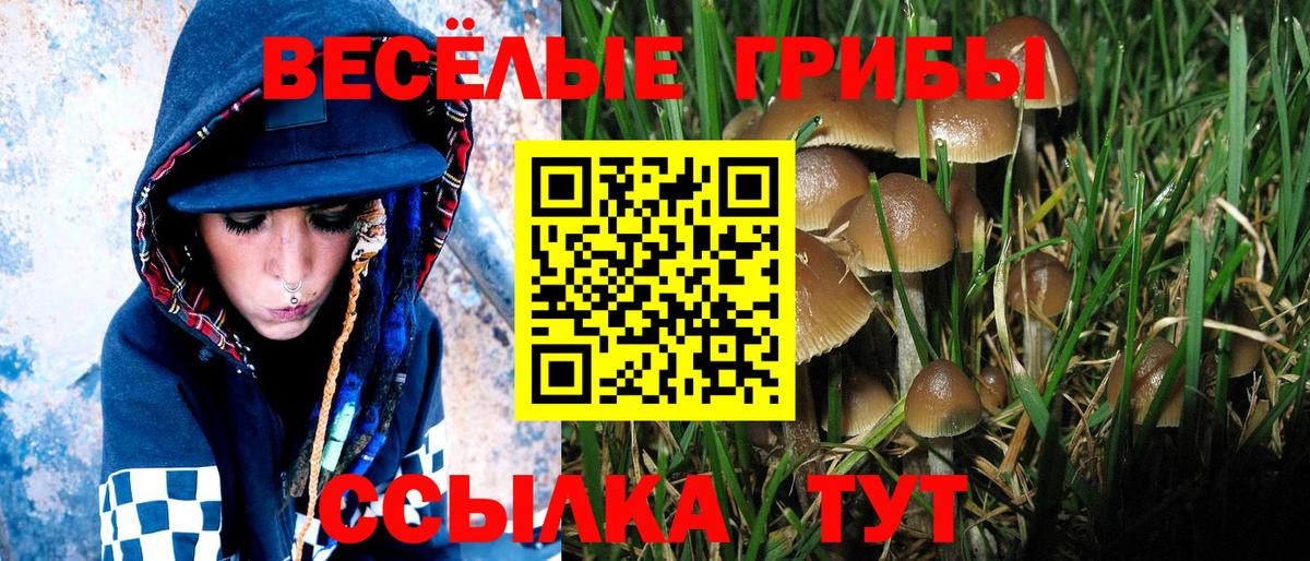 Екатеринбург  Галлюциногенные грибы ЛСД  Вход с VPN  Галлюциногенные грибы Magic Shrooms 